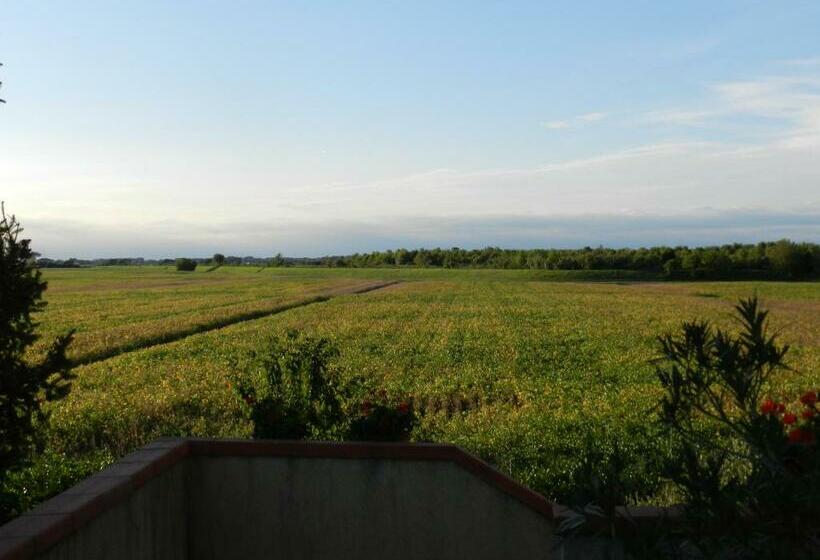 家庭间, Al Sol Levante