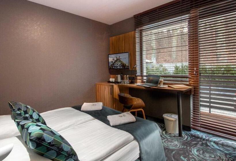 غرفة ديلوكس, Willa Pieńkowskich