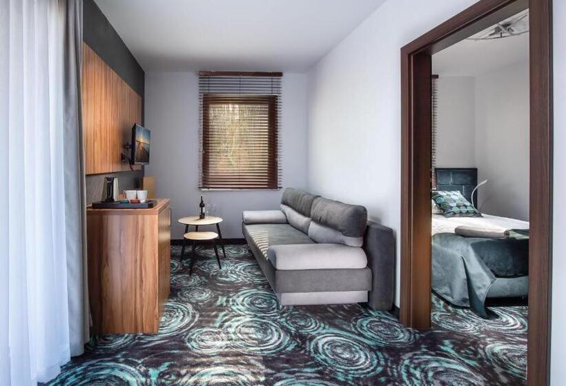 جناح مزود بتراس, Willa Pieńkowskich