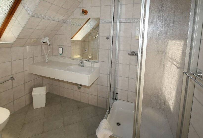 标准单人间, Wenzels Hof