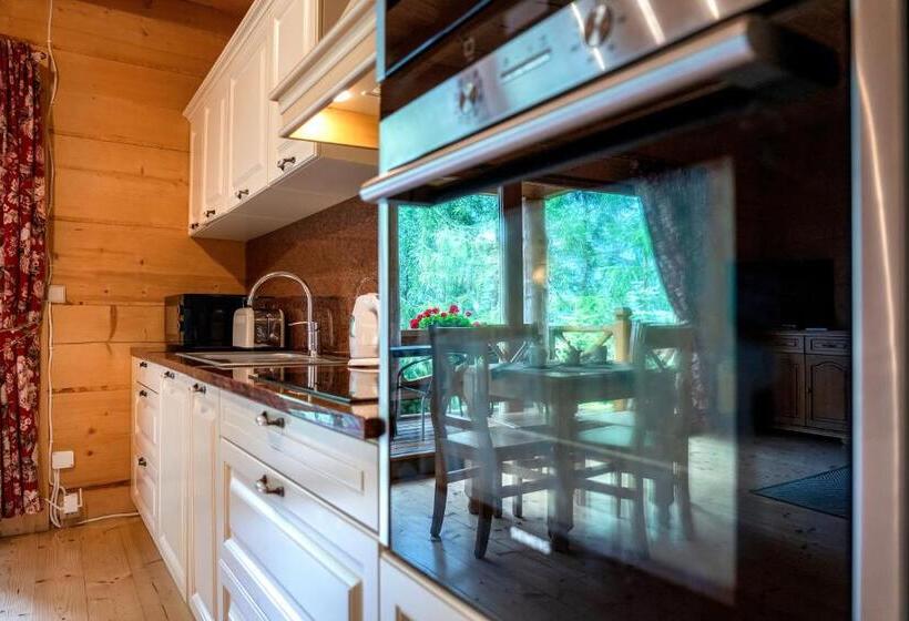 شقة بغرفة نوم واحدة, Osada Kościelisko