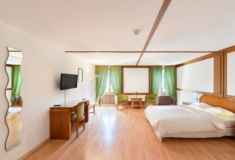 غرفة قياسية, Hôtel De L Aigle