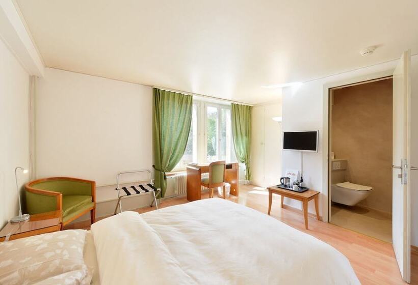 غرفة قياسية, Hôtel De L Aigle