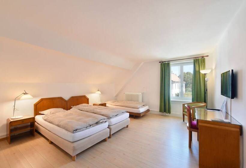 غرفة قياسية ثلاثية, Hôtel De L Aigle