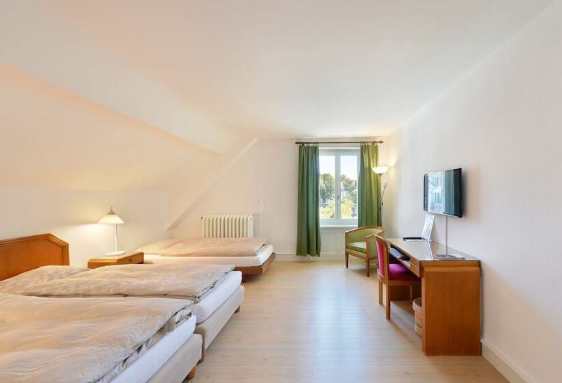 غرفة قياسية ثلاثية, Hôtel De L Aigle