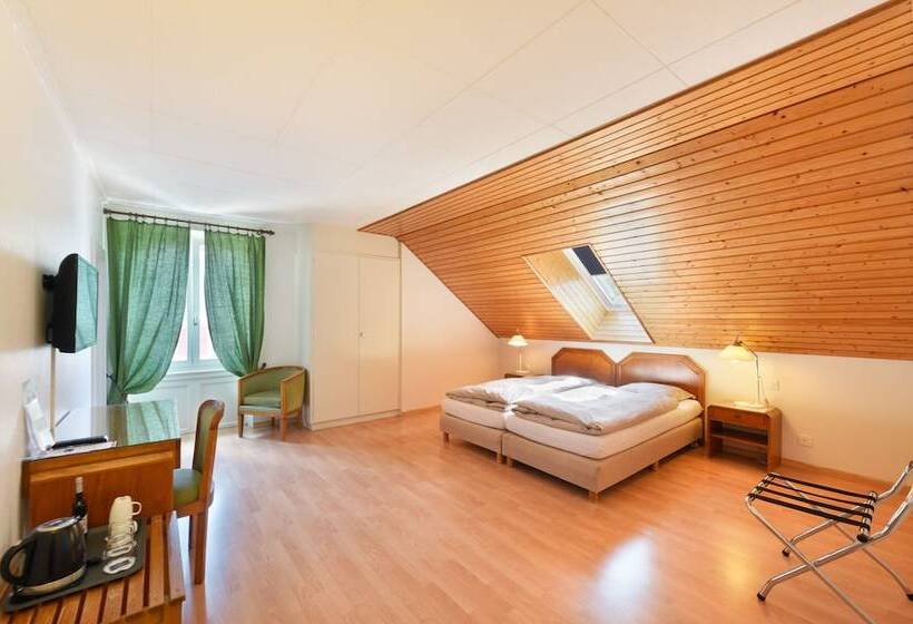 غرفة قياسية, Hôtel De L Aigle