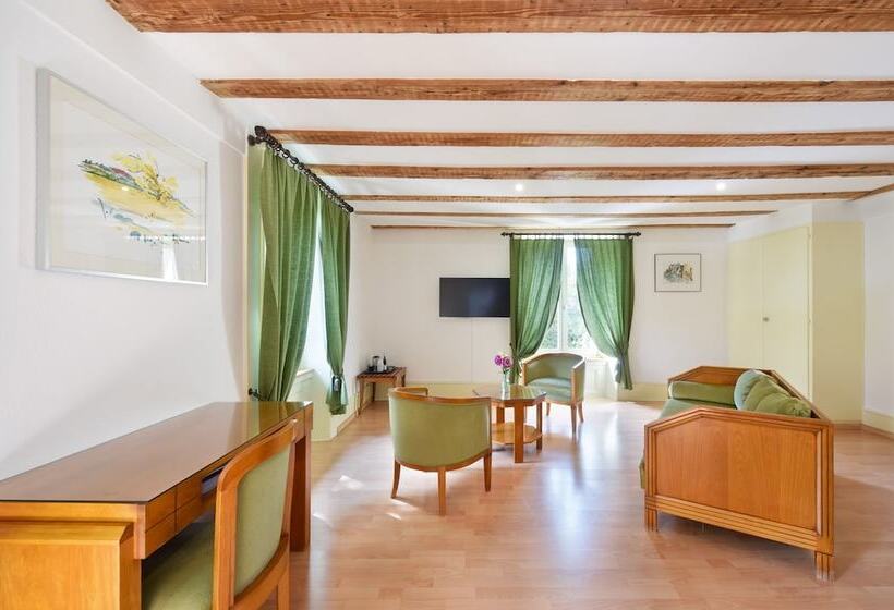 Люкс, Hôtel De L Aigle