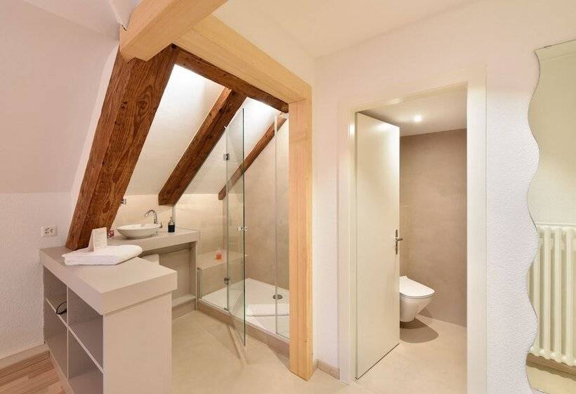 غرفة قياسية, Hôtel De L Aigle