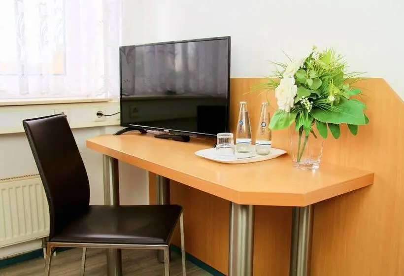 اتاق استاندارد یک نفره, Parkhotel Viktoria