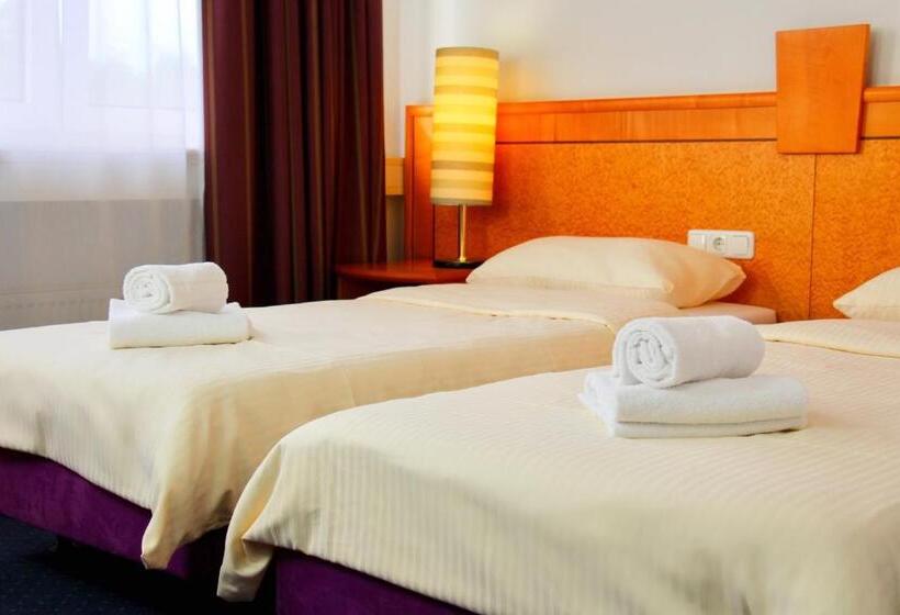 标准间, Parkhotel Viktoria