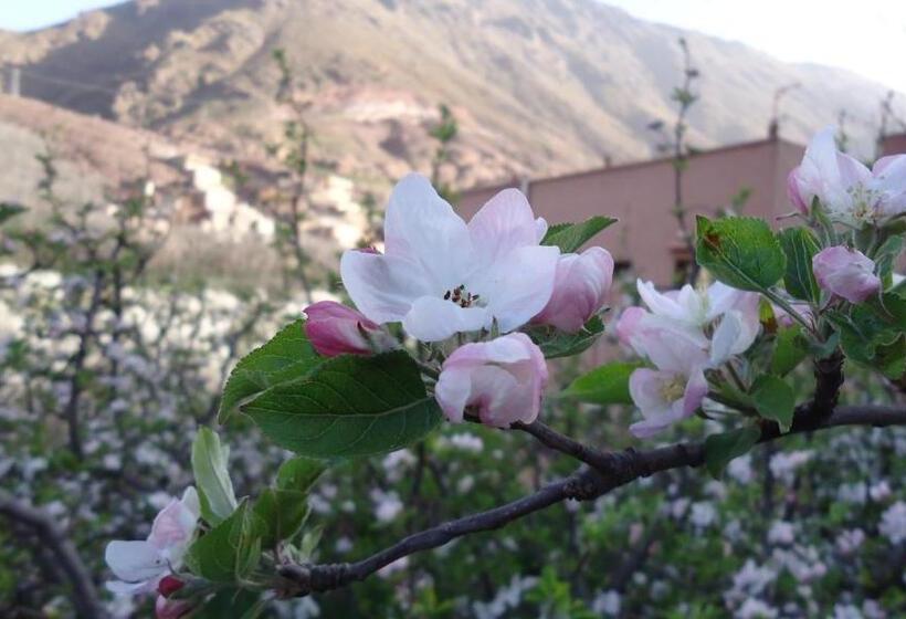 غرفة قياسية مزوَّدة بشُرفة, Atlas Imoula