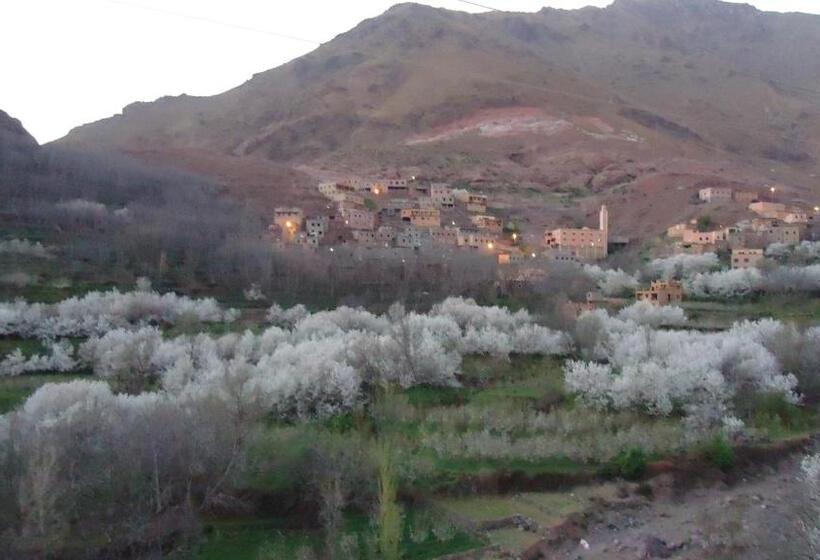 غرفة قياسية مزوَّدة بشُرفة, Atlas Imoula