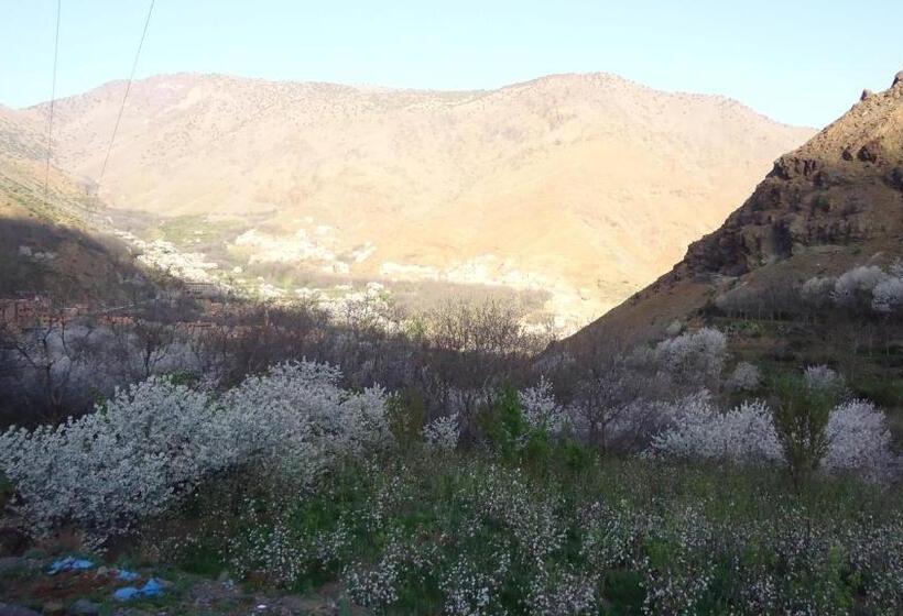 غرفة قياسية, Atlas Imoula