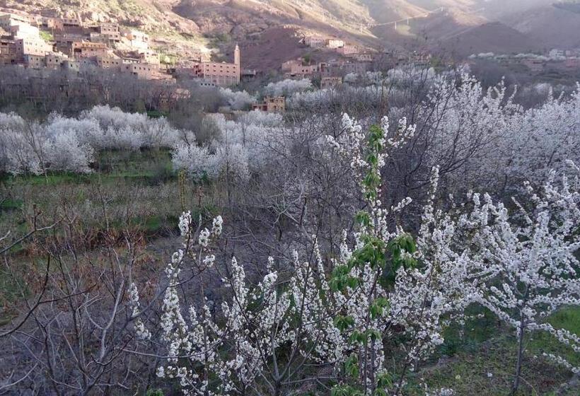 غرفة قياسية ثلاثية مزودة بشرفة, Atlas Imoula