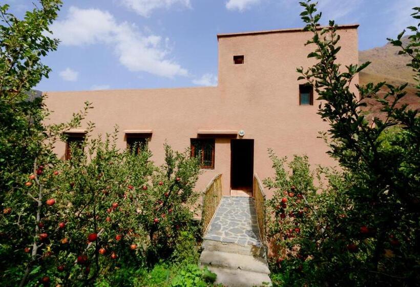 غرفة قياسية, Atlas Imoula