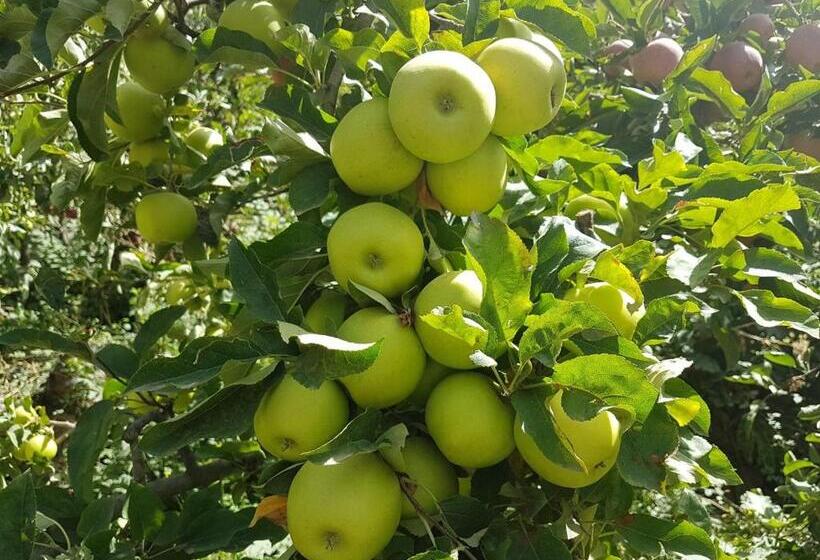 غرفة عائلية, Atlas Imoula