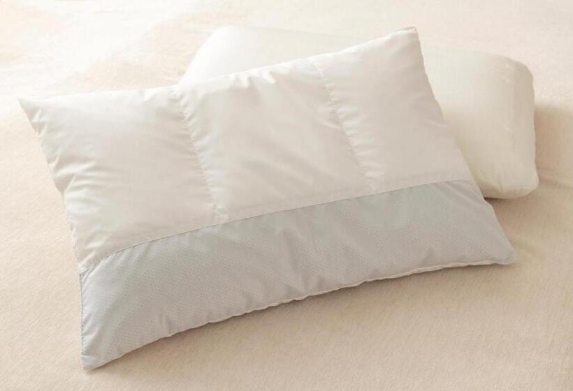 חדר אקונומי, Remm Tokyo Kyobashi