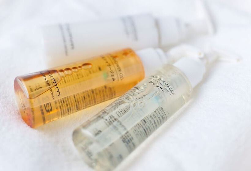 חדר אקונומי, Remm Tokyo Kyobashi