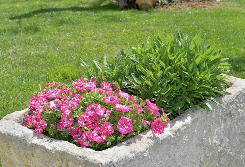 Habitació Deluxe, Astra