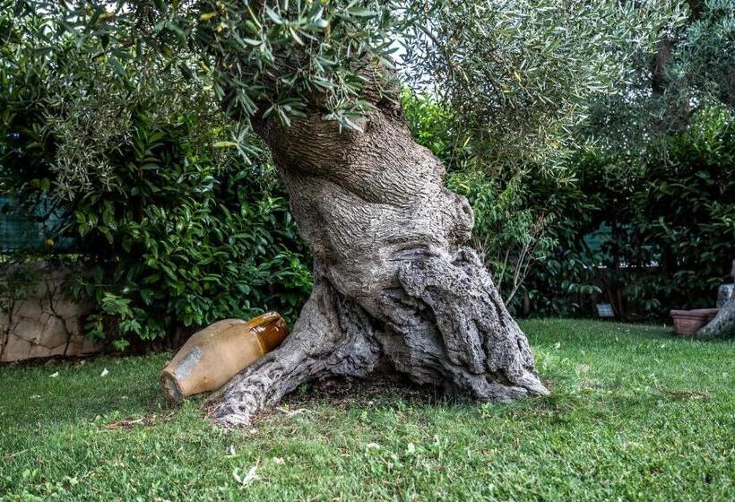 Habitació Deluxe, Astra