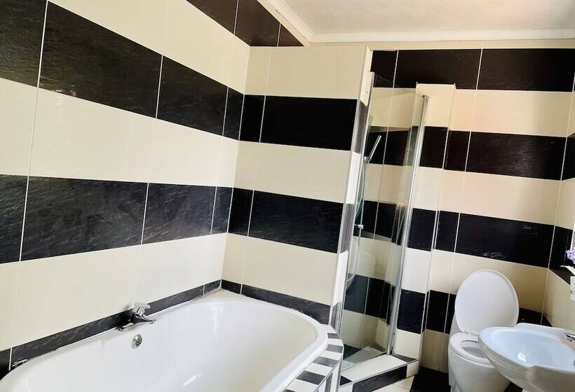 豪华房间, Airport Royal Guest House