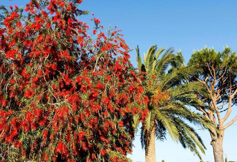 1ベッドルームアパートメント, Agriturismo Bocci