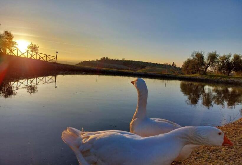 اتاق استاندارد سه نفره, Agriturismo Mocine