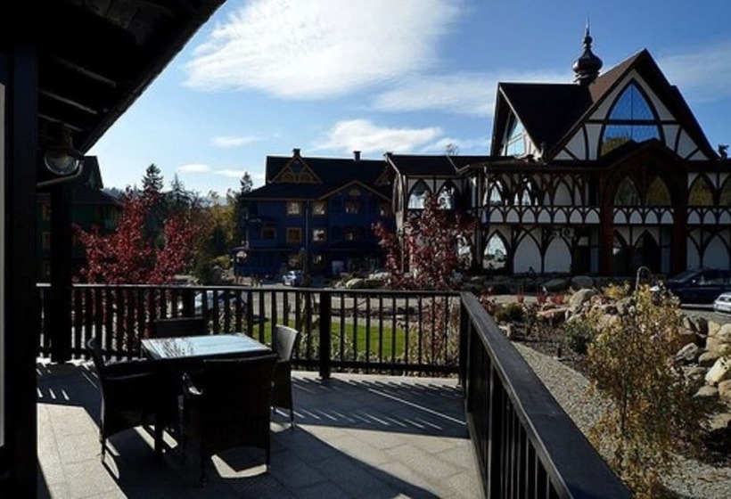 Апартаменты Premium 1 с Балконом, Norweska Dolina Family&pet Friendly Resort