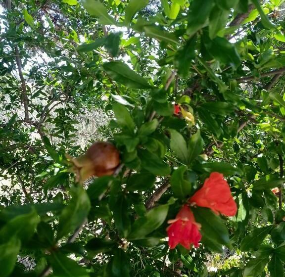 غرفة أساسية, Agriturismo La Locandiera