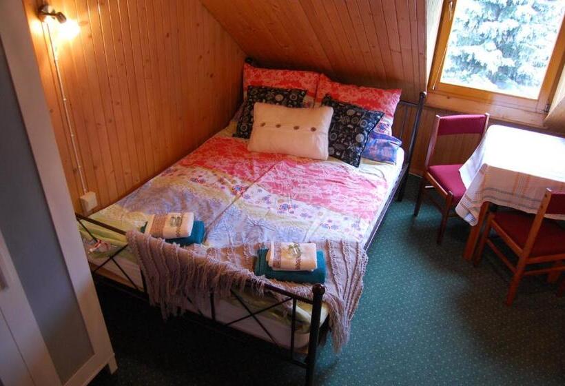 غرفة قياسية, Pokoje Gościnne Pod Ciupagą