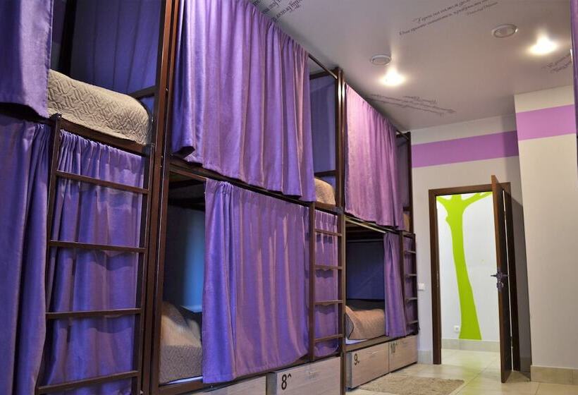 سرير فى غرفة مشتركه, Hostel Svet