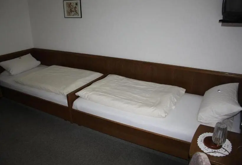 エコノミールーム, Gasthof Pension Hunaustuben