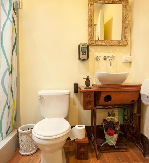 اتاق استاندارد, Vintage Casa Las Flores