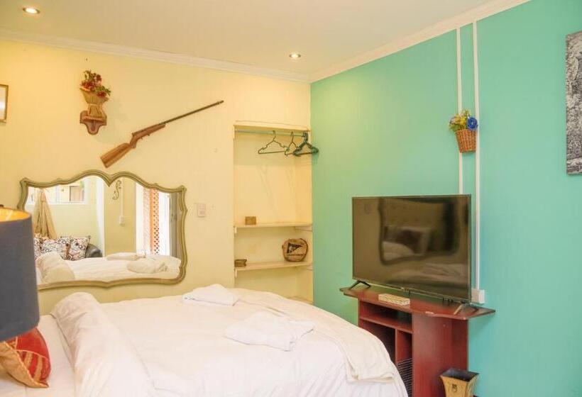 اتاق لوکس, Vintage Casa Las Flores
