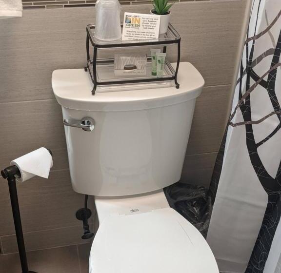 豪华房间, Abe Martin Lodge & Cabins