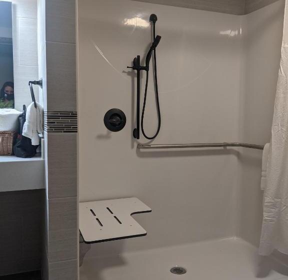 豪华房间, Abe Martin Lodge & Cabins