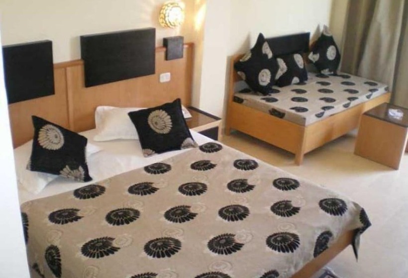 スタンダードトリプルルーム, Les Palmiers