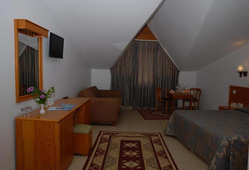 غرفة إقتصادية, Marmaris Park