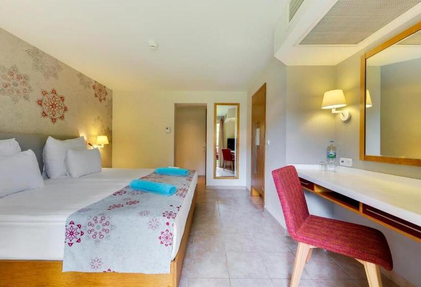 スタンダードシングルルーム, Robinson Camyuva   Adults Only