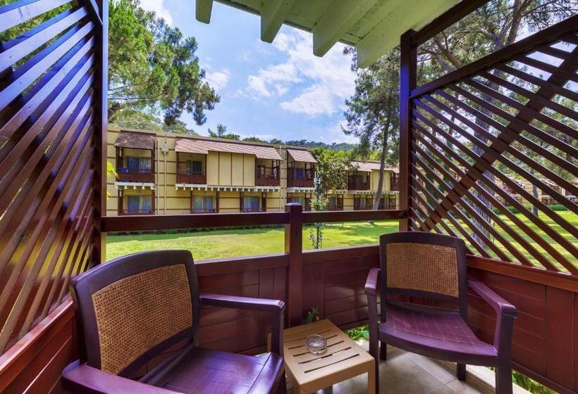 エコノミーシングルルーム, Robinson Camyuva   Adults Only