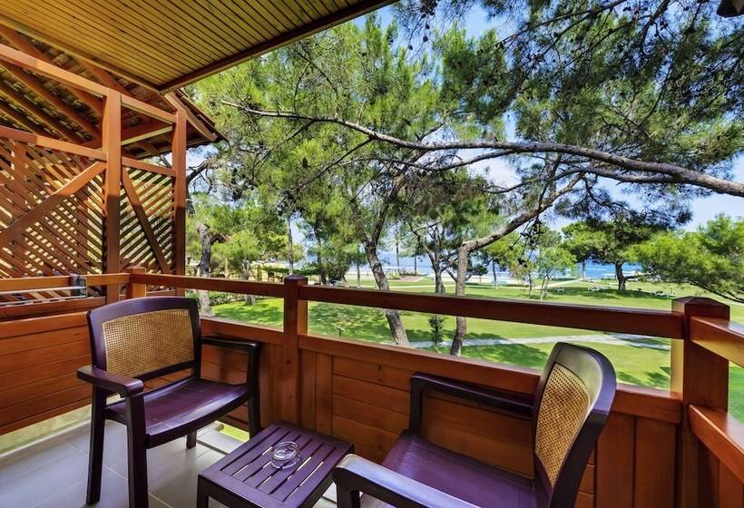 スタンダードシングルルーム, Robinson Camyuva   Adults Only