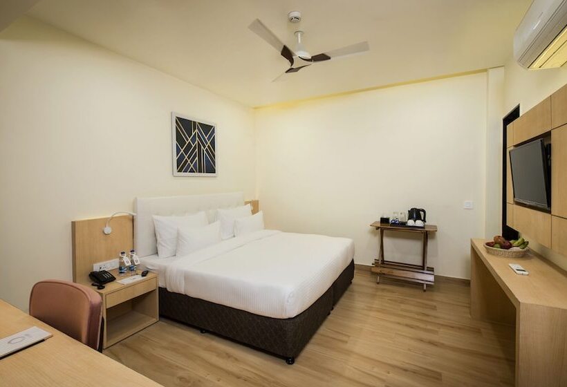 디럭스 룸, 10 Park Street Bed & Breakfast