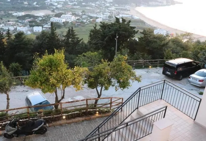 اتاق اکونومی, The Stunning B&b