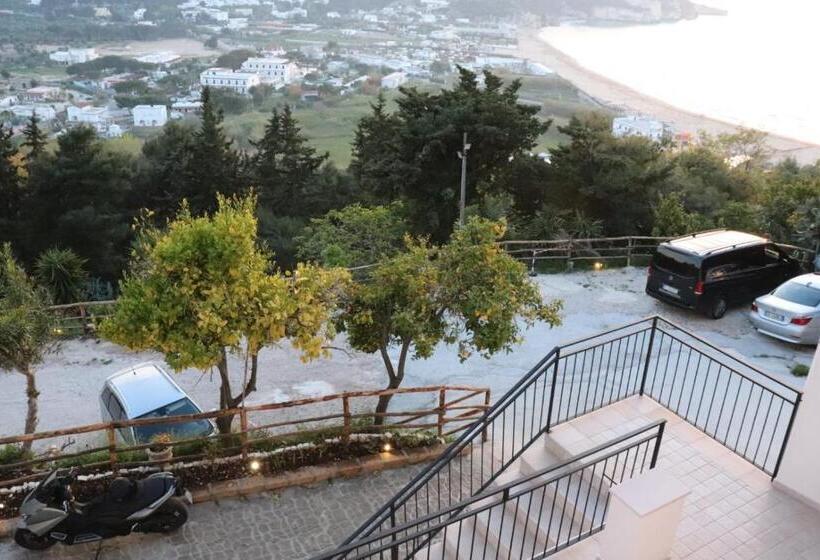 수피리어 룸 바다 전망, The Stunning B&b