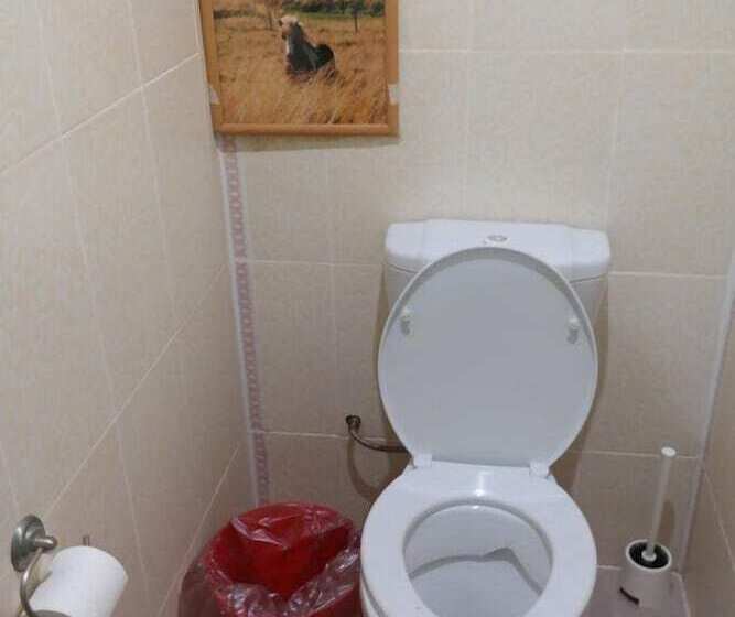 اتاق استاندارد, Snegiri