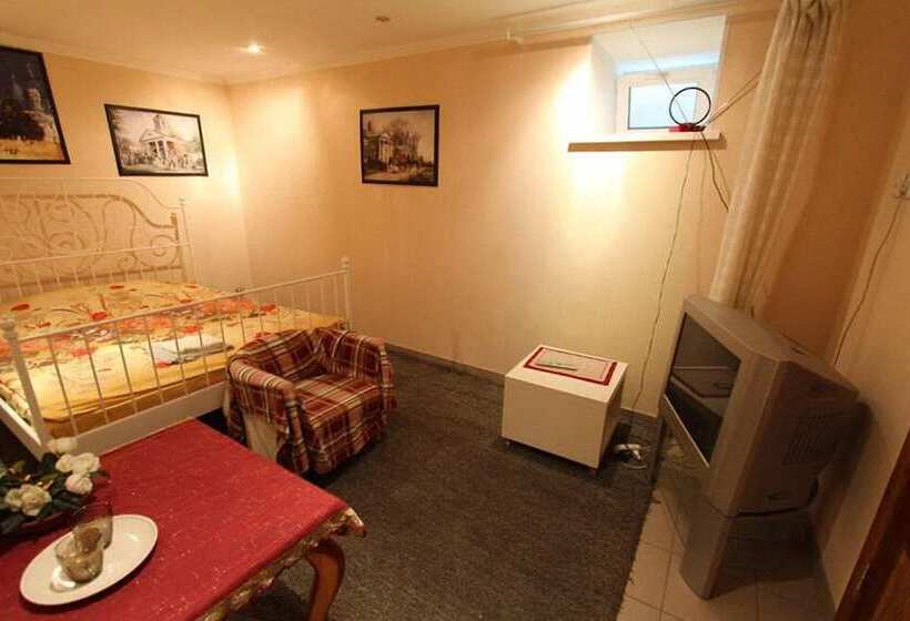 اتاق استاندارد, Snegiri