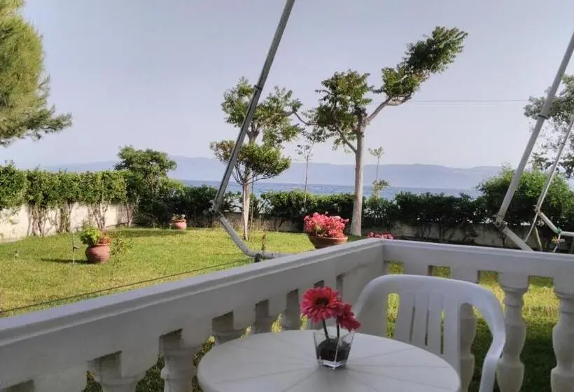 スタンダードスタジオ, Posidonia Pension