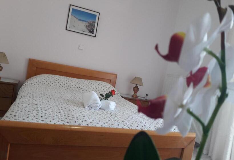 Студия Стандарт, Posidonia Pension