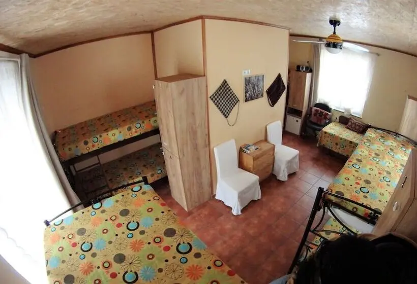 ルームシェアのワンベッド, Host El Greco   Hostel