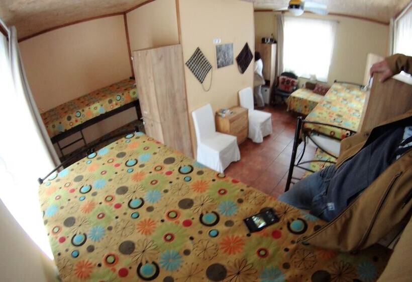 سرير فى غرفة مشتركه, Host El Greco   Hostel
